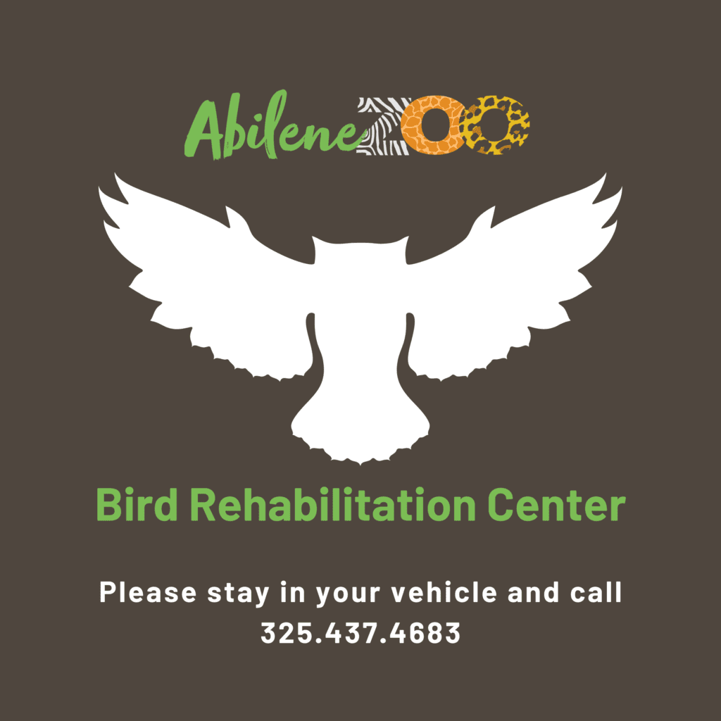 Bird Rehab Parking