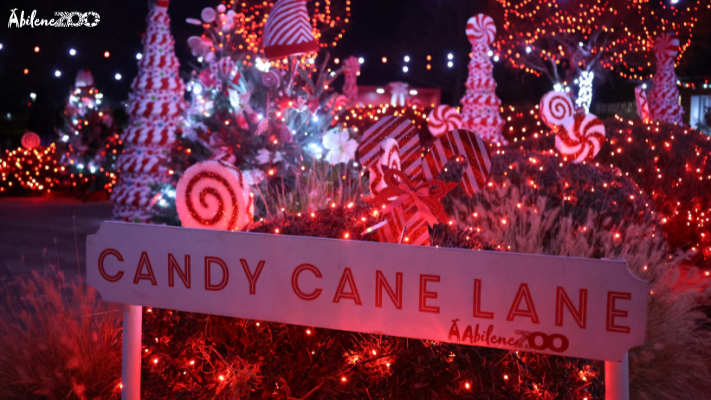 Candy Cane Lane