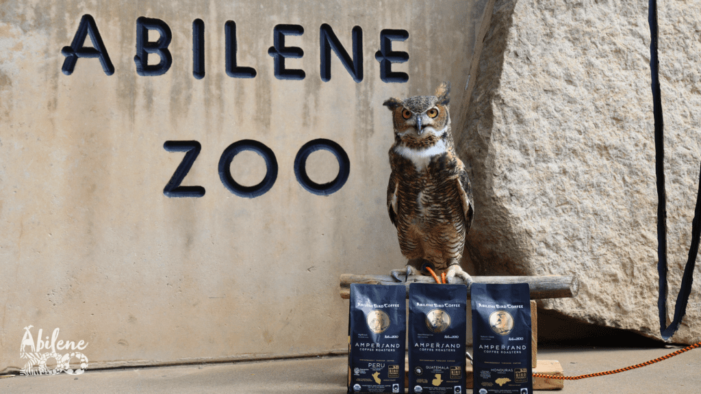 Press Release Abilene Bird Coffee Einstein with all coffee blends