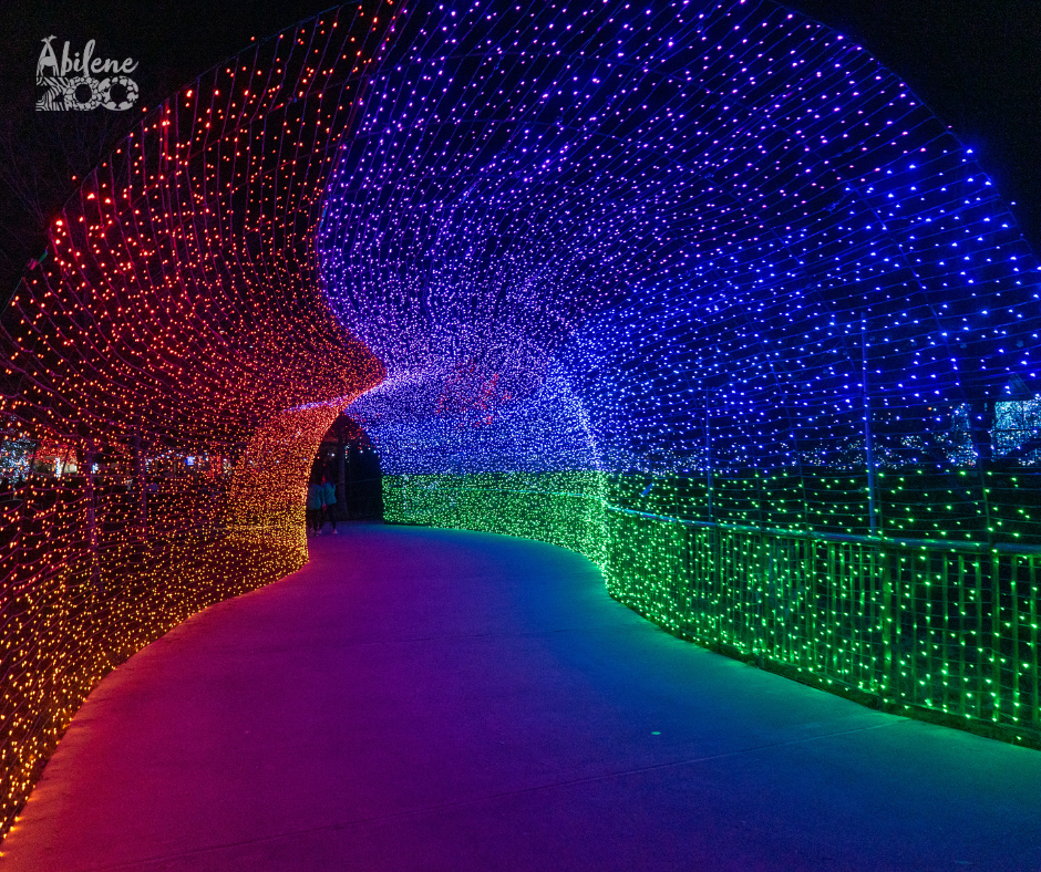 Christmas Celebration powered by Reliant tunnel of lights